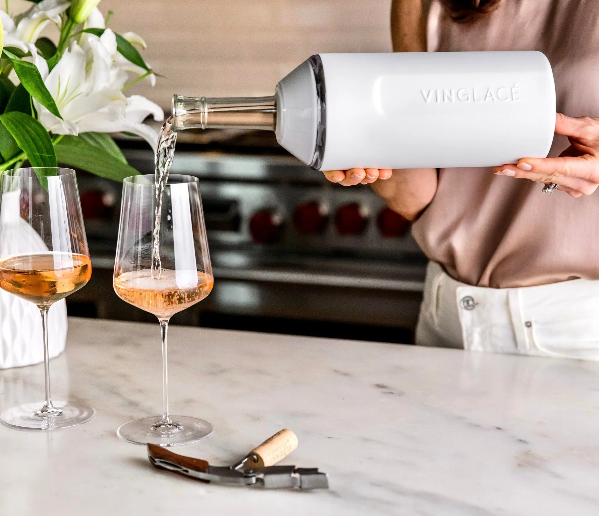 Wine Chiller & Leak Proof Lid w/Insert Set - Image 5